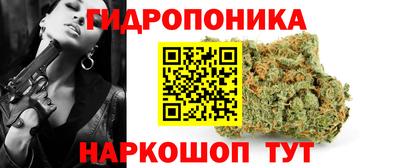 стаф Кимры