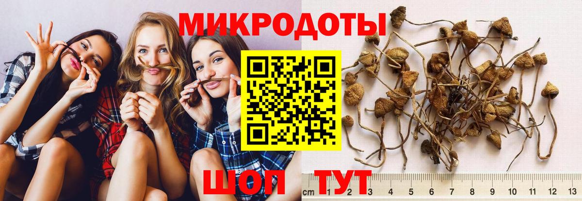 Галлюциногенные грибы прущие грибы  Вход с VPN  Лангепас  Псилоцибиновые грибы прущие грибы 